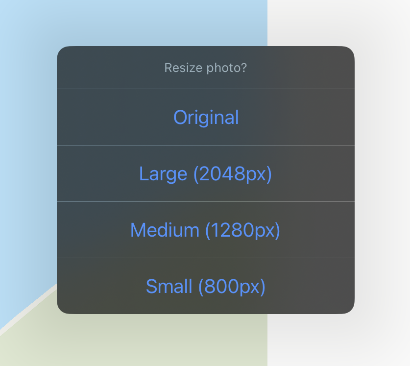 Choosing a Size When Uploading a Photo